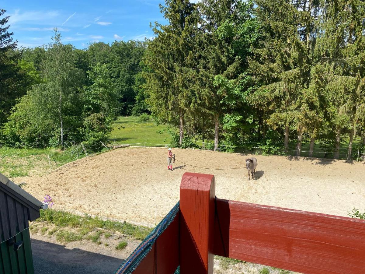 Ferienwohnung Waldidylle Friedrichsbrunn Exterior foto